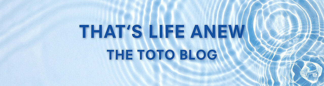 That's life anew