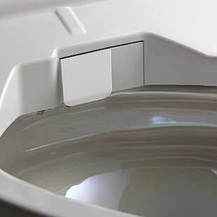 Washlet Düse eingefahren und Klappe zu