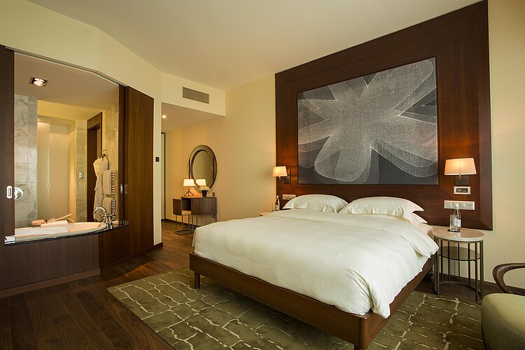 Park Suite at Park Hyatt Hotel in Zurich