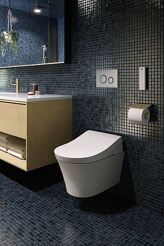 Das Bild zeigt einen Teil eines modernen Badezimmers mit dunklen, blauen Mosaikfliesen an den Wänden und am Boden, einer wandhängenden Toilette und einem Toilettenpapierhalter an der Wand. Rechts im Bild ist ein heller Holzwaschtisch mit einem integrierten Waschbecken und Armaturen zu erkennen, darüber ein beleuchteter Spiegel und ein Fenster, das Tageslicht hereinlässt.