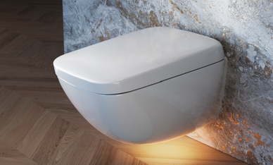 Image shows a wall mounted NEOREST WX