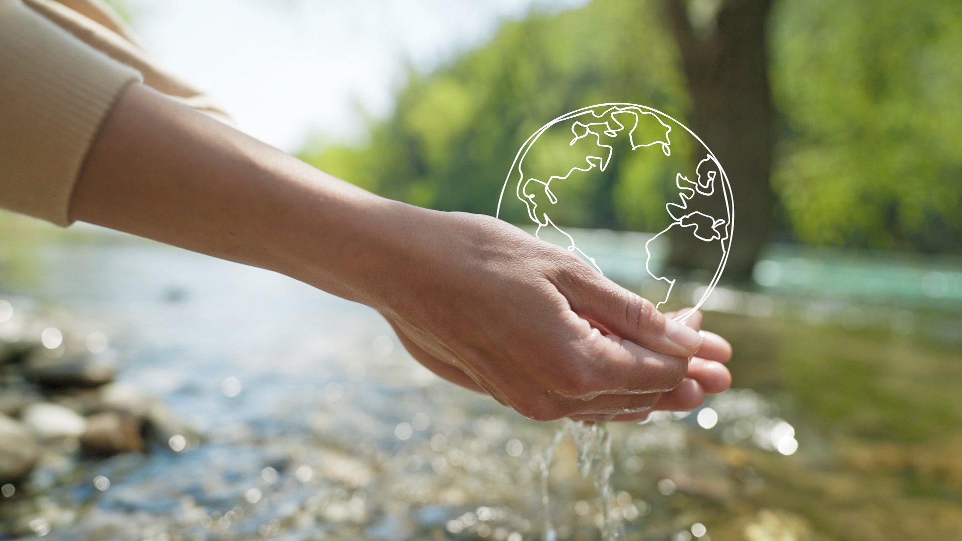 Carbon Neutrality