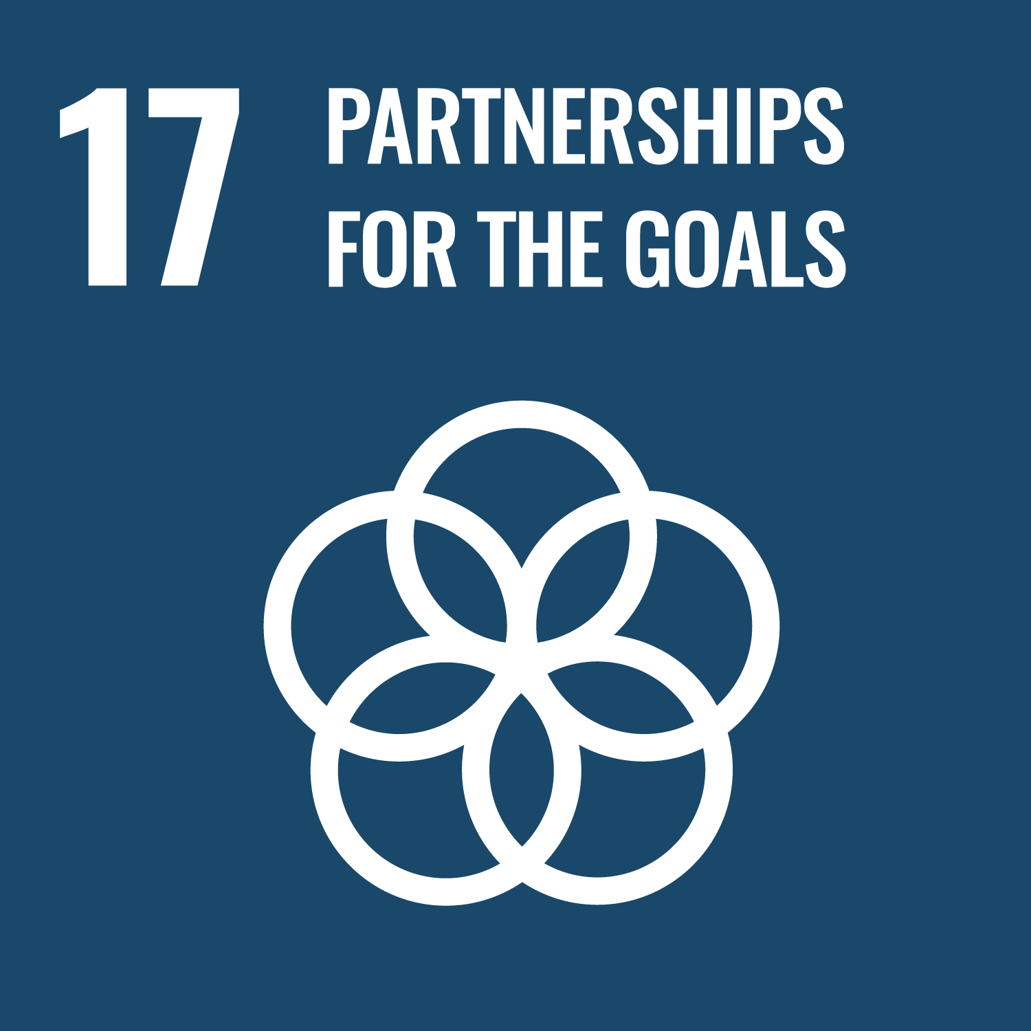 Card 17: Partnerships For The Goals