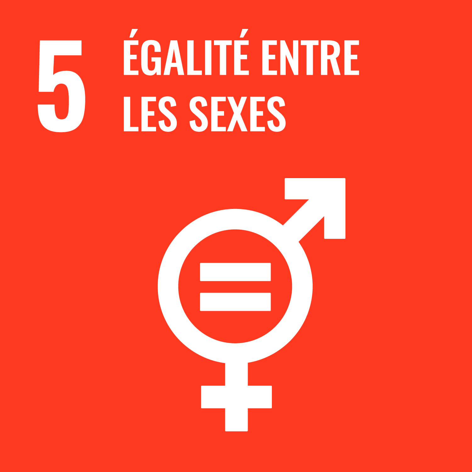 l’objectif 5 : Égalité entre les sexes