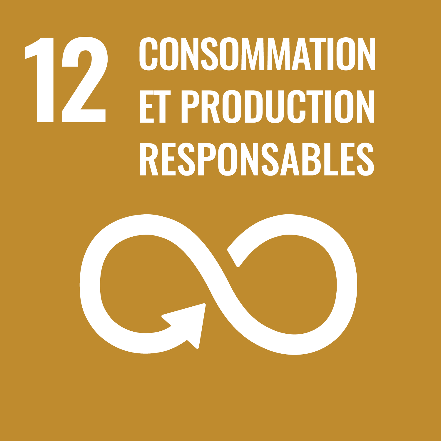 l’objectif 12 : Consommation et production responsables