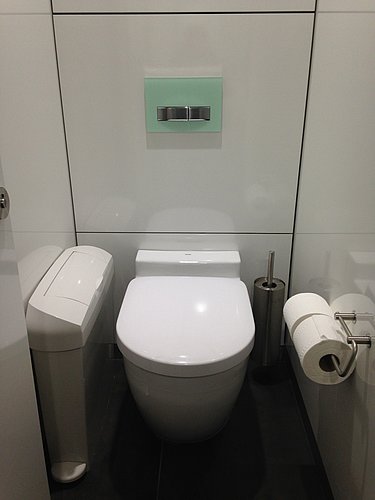 Rimless toilet in a small public stall